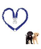 JVHLOV Double Dog Leash - 360 Rotatable for 2 Dogs | Ideal for Small Medium & Large Dogs - Blue - Buy Online on GoSupps.com