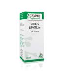Organic Citrus Limonum 60 ml - Gemmo Professional | Premium Quality Essential Oil for Wellness - Buy Online on GoSupps.com