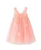 PythJooh Baby Girl Tulle Dress - Sleeveless Butterfly Wings Tutu Princess Dress for Toddler Girl, Daisy Stars Sundress, 3-4 Years, Pink - Buy Online on GoSupps.com