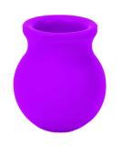 Soft Silicone Pout Lips Enhancer | Lip Plumper Device for Natural Sexy Lips - Violet Beauty Tool - Buy Online on GoSupps.com