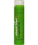 Buy Pyrogenium MK (1M) Homeopathy Medicine - Schmidt-Nagel Canada | 90 Pellets/Granules for International Shipping - Buy Online on GoSupps.com