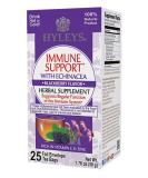 Hyleys Tea Immune Support - Echinacea Blackberry, 25 Foil Tea Bags (0.07 oz each) - Buy Online on GoSupps.com