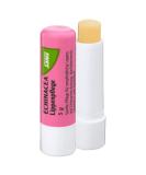 Salus Echinacea Lip Balm Stick - Nourishing & Soothing | 0.01 Kg | International Shipping Available - Buy Online on GoSupps.com