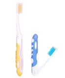 Buy Plandlelee Foldable Travel Toothbrushes - Set of 2 Portable Soft Bristles for Camping & Travel - Buy Online on GoSupps.com