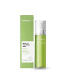 Centellian 24 Soothing Mist - Hydrating Facial Spray for Sensitive Skin | Korean Skin Care | 3.4fl oz - Buy Online on GoSupps.com