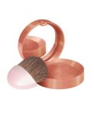 Bourjois Blush 32 Ambre Dor - Natural Radiance Cheek Color - Buy Online on GoSupps.com
