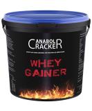100% Pure Whey Gainer Protein 3000g - Hardgainer's Choice with Vitamins & Amino Acids - Strawberry Flavor - Buy Online on GoSupps.com
