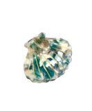 Lurrose Green Shell Shape Hair Clip for Women | Stylish Ponytail Holder & Hair Accessories - Buy Online on GoSupps.com