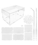 Winterworm Acrylic Reptile Feeding Box Transparent Breeding Box Terrarium with 2 Pcs Straight and Curved Tweezers for Pet Insect Spider Crickets Snails Hermit Crabs Lizard (Large(20x12x12cm)) - Buy Online on GoSupps.com