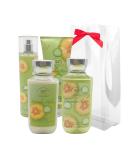 Bath & Body Works Cucumber Melon 4-Piece Gift Set - Limited Edition Holiday Gift with Shower Gel Body Cream Mist & Lotion - Buy Online on GoSupps.com