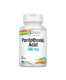 Solaray Pantothenic Acid 500 mg - 100 Vegan Capsules | Energy & Metabolism Support - Buy Online on GoSupps.com