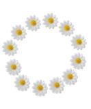 12pcs Womens Multi-colored Sweet Daisy Hair Clips Mini Sun Flower Hairpins Hair Accessory for Bridesmaid Wedding Photography (White) - Buy Online on GoSupps.com