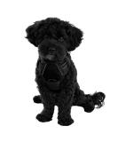 Reflective Dog Harness for Small & Medium Dogs | Anti-Pull Training | Breathable Nylon Mesh Padding - Size L Black - Buy Online on GoSupps.com