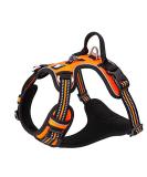 Buy Truelove No Pull Dog Harness - Reflective Adjustable Soft Padded Vest with Handle TLH56512 L Orange | International Shipping - Buy Online on GoSupps.com