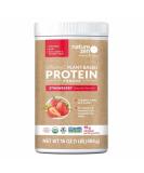 Nature Zen Protein - Plant Based Strawberry Powder (1LB/454G) | Sugar & Gluten Free No Soy & Peanuts - Buy Online on GoSupps.com