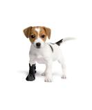 Grande final postoperative protection protective and recovery socks breathable for dogs cats 100% softshell 1 (XS) -4 cm (1.6 inch) H-7 cm 1 (XS)-4 cm (1.6 ) H - 7cm black - Buy Online on GoSupps.com