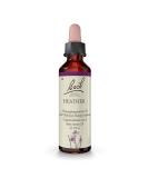 Original Bach Flower Drops No. 14 Heather - Enhance Understanding & Empathy | 20ml Remedy for Emotional Well-being - Buy Online on GoSupps.com