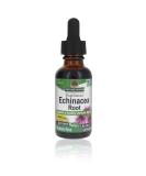 Nature's Answer Echinacea Alcohol-Free Extract - 1 Fl Oz | Natural Immune Booster & Wellness Support - Buy Online on GoSupps.com