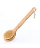 HiKin 12.6 Long Handle Dry Bath Body Brush with Natural Bristles Exfoliating, Blood Circulation, Detox - Anti-Slip Wooden Handle - Buy Online on GoSupps.com