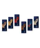 WELLA Koleston Perfect Me + Special Blonde 12/1 (60ml) 12/1 1 count (Pack of 1) - Buy Online on GoSupps.com