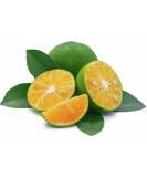 Calamansi | Philippine Lime 500gr - Fresh Import from the Philippines - Buy Online on GoSupps.com