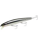 Lucky Craft SW Flashminnow 110 Surf Fishing Lure - Half Mirror Glow Anchovy | 387 - Buy Online on GoSupps.com