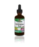 Echinacea Extract | Immune Support | Vegan, Gluten-Free, Non-GMO | 2oz - Nature's Answer - Buy Online on GoSupps.com