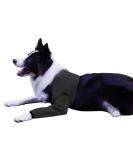 Dog Recovery Suit - Cone Collar Alternative Abrasion-Resistant Waterproof & Washable Prevents Licking & Wound Infection (Black M) - Buy Online on GoSupps.com