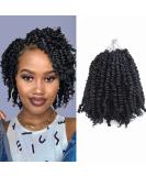 6 Inch Pre-twisted Passion Twist Crochet Hair 8 Packs - Short Pre-looped Braiding Hair in 1B/Natural Black (Pack of 8) - Buy Online on GoSupps.com