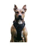 No Pull Dog Harness | Adjustable Reflective & Soft Padded | Breathable Dog Vest for Small Breeds - Black - Buy Online on GoSupps.com