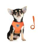 Femax Dog Harness & Linen Set - Soft Mesh Padded Dishes for Puppies & Cats Reflective Adjustable Breathable Vest for Walking & Training (Breast 30-34 cm) - Orange - Buy Online on GoSupps.com