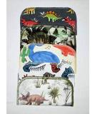 Set of 5 Dinosaur Printed 2 Ply Flannel Cloth Wipes - 8x8 Inches - Buy Online on GoSupps.com