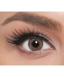 Iconic Hazel Colored Contact Lenses - Strongly Covering Monthly Lenses for Natural Dark Brown Eyes - 1 Pair - Buy Online on GoSupps.com