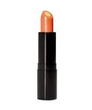 Vitamin C Lip Treatment with SPF 15 - Protect and Nourish Your Lips - Buy Online on GoSupps.com