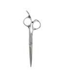 Fromm Professional Explore 5.75" Hair Cutting Shears - Japanese Steel Scissors for Wet & Dry Use Ideal for New & Experienced Stylists Polished Silver Beveled Blade - Buy Online on GoSupps.com