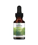 Swanson Mullein Leaf Alcohol and Sugar-Free Liquid Extract - 1 fl oz (29.6 ml) - Buy Online on GoSupps.com