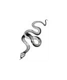 3 Sheets Yeahgoshopping Realistic Big Size Black Snake Waterproof Temporary Tattoo Stickers For Women Men Body Art Waist Decals Fake Tattoo - Buy Online on GoSupps.com
