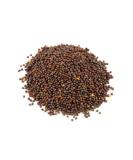 Brown Mustard Seeds (brown rai) - 500g - Buy Online on GoSupps.com