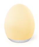 Synighty Dimmable Silicone LED Night Light for Children - 8 Color Changing 1-Hour Timer Memory Function Type C Charging - Perfect Egg-Shaped Bedside Lamp for Breastfeeding (White) - Buy Online on GoSupps.com