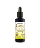 Biotraxx Kidneys 14 Herbs Intensive Treatment - 50ml for Kidney & Bladder Revitalization | International Shipping Available - Buy Online on GoSupps.com