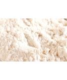 Organic Sprouted Sattu Flour (Roasted Chickpea Flour) - Buy Online on GoSupps.com