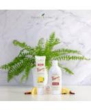 Buy Young Living Thieves Mouth Wash & Aromabright Toothpaste - Essential Oil Infused | International Shipping Available - Buy Online on GoSupps.com