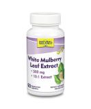 Buy Natural Balance White Mulberry Leaf Extract 60ct | Premium Quality Supplement for Health & Wellness - Buy Online on GoSupps.com