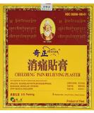 Cheezheng Pain Relieving Plaster - 5 Patch Pack - Buy Online on GoSupps.com