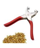BlueSunshine 100pcs 4mm Brass Eyelets and Setting Pliers Kit for Leather, Canvas, All Fabrics Clothes, Shoes, Belts, Bags, Crafts - Buy Online on GoSupps.com