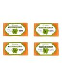 Teliaoils Oregano Soap for Deep Skin Cleansing - 3.4 oz | Natural Antimicrobial Soap Perfect for All Skin Types International Shipping Available - Buy Online on GoSupps.com
