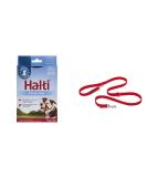 Company of Animals: Halti Headcollar & Double Ended Training Lead Pack suitable for Small Medium and Large dogs - Buy Online on GoSupps.com