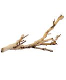 Exo Terra Forest Branch Reptile Terrarium Decoration - Buy Online on GoSupps.com