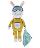 Fisher-Price Hoppy Dreams Soother & Sleep Trainer plush musical toddler toy with sleep training tool lights and sounds - Buy Online on GoSupps.com