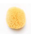 Kyte BABY Natural Sea Sponge 4-5 Inches | Gentle and Eco-Friendly Bath Sponge - Buy Online on GoSupps.com